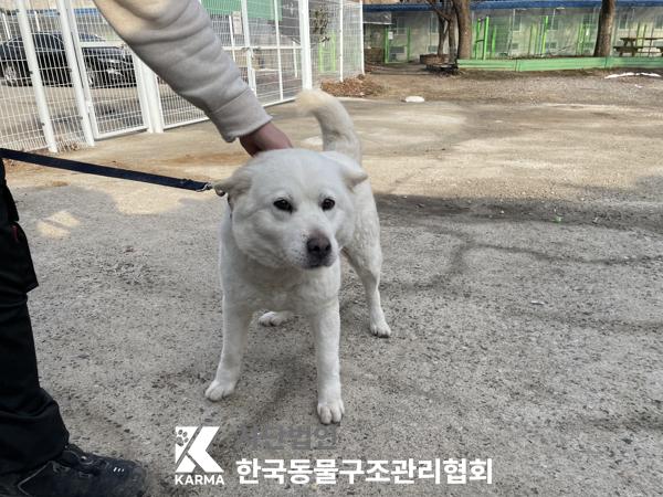 한국동물구조관리협회_411316202500116